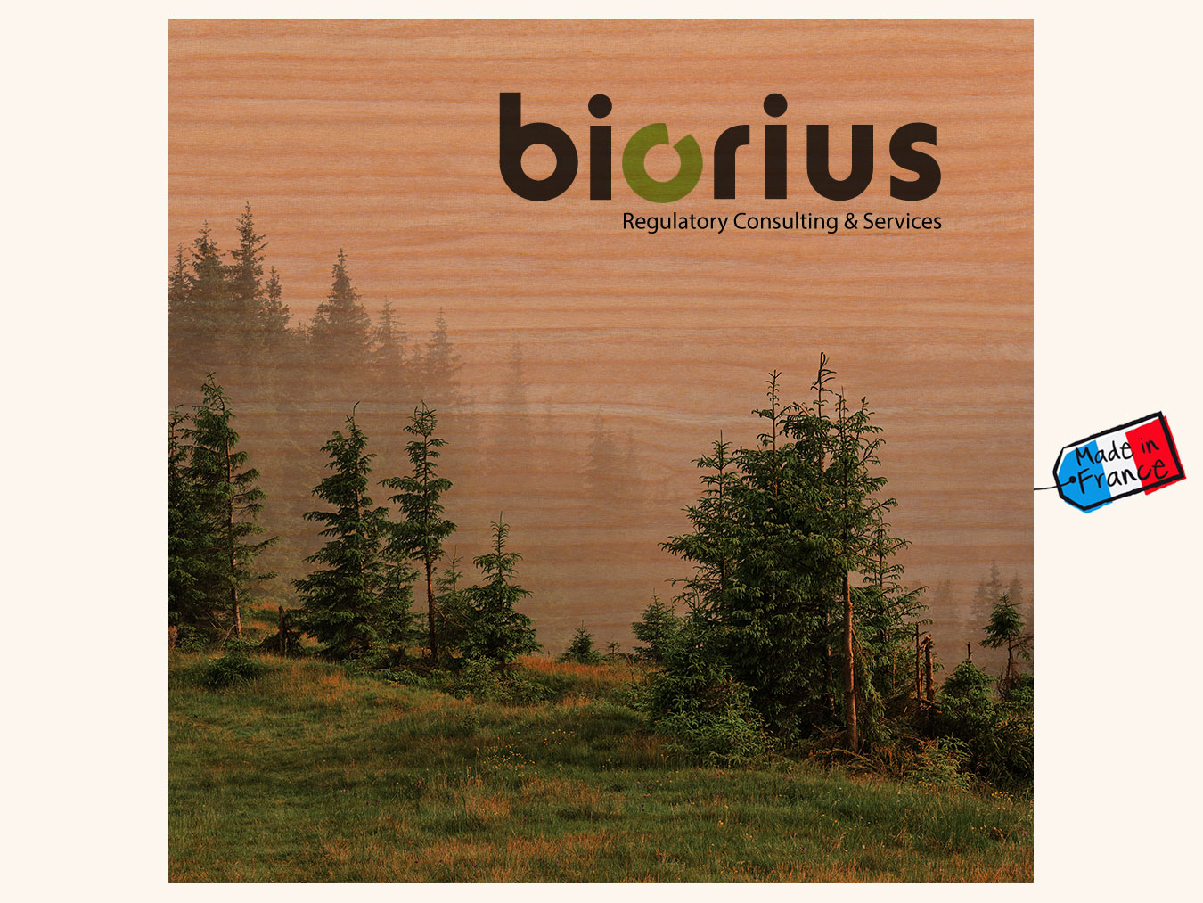 carte en bois personnalisable grand format 300×300 mm Carte en bois personnalisable grand format 300x300 mm